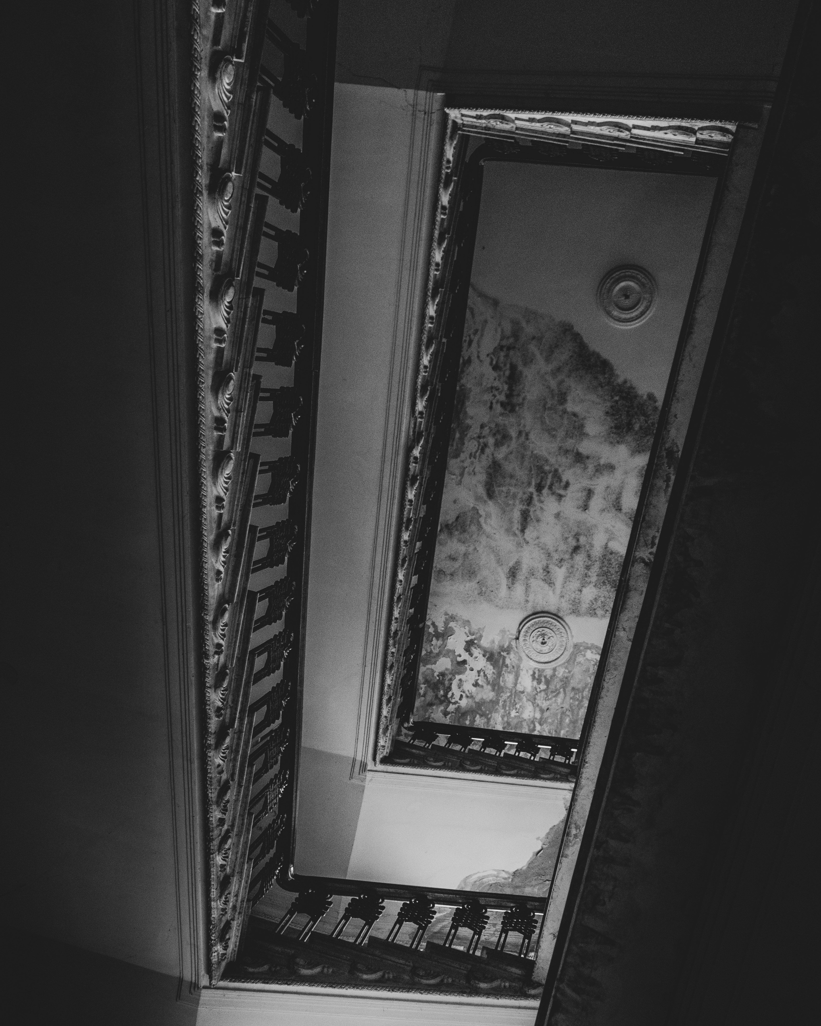 grayscale photo of a tree in a window